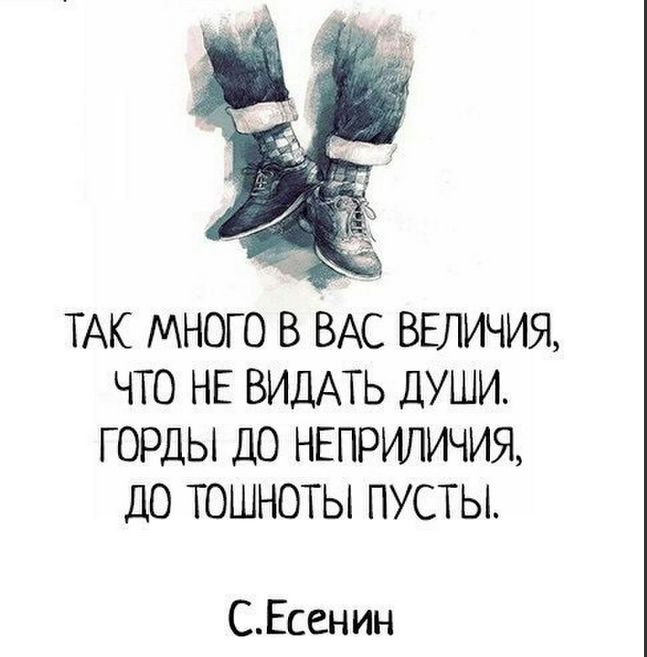 Видал я много юношей надежд. Так много в вас величия. Так много в вас величия что не видать. Цитаты: так много в вас величия. Так много в вас величия что не видать души горды.