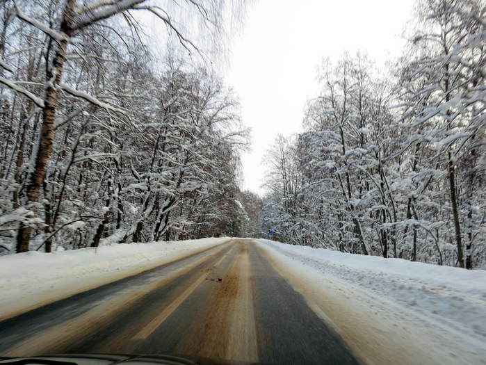 IMG_5885 (700x525, 439Kb)