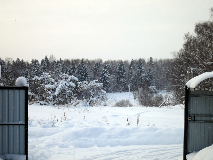 IMG_5896 (700x525, 358Kb)