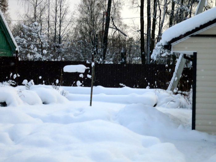 IMG_5902 (700x525, 394Kb)