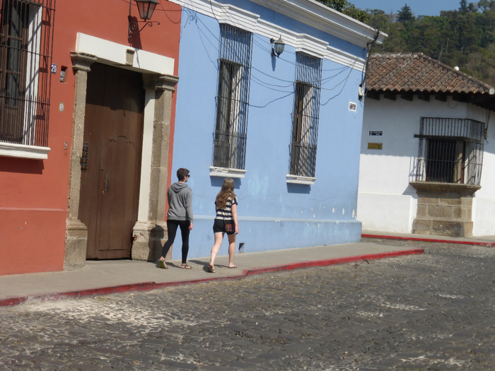 P1350134 (700x525, 429Kb)