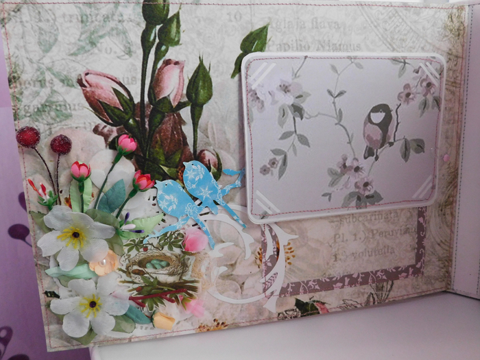 DSCN1086 (700x525, 409Kb)