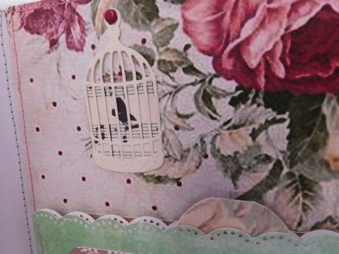 DSCN1091 (700x525, 408Kb)