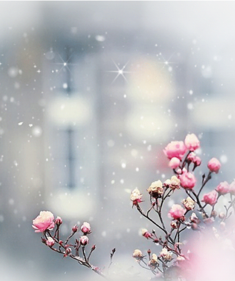 Screenshot (5) (462x551, 485Kb)