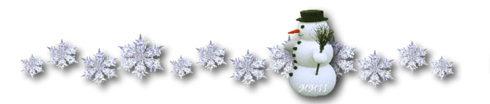 1384374_900 (700x148, 95Kb)
