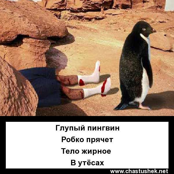 95468_800 (600x600, 58Kb)