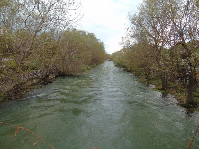 DSC05606 (700x525, 357Kb)