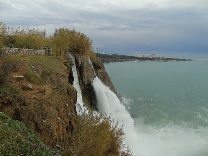 DSC05619 (700x525, 315Kb)