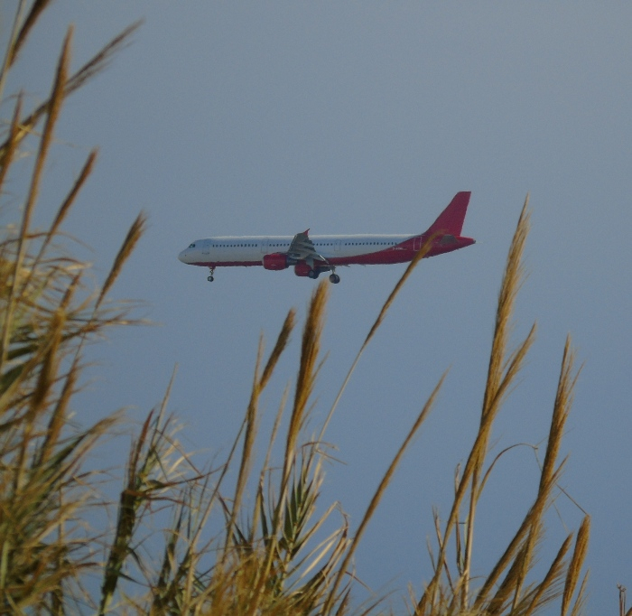 DSC05654 (700x682, 364Kb)