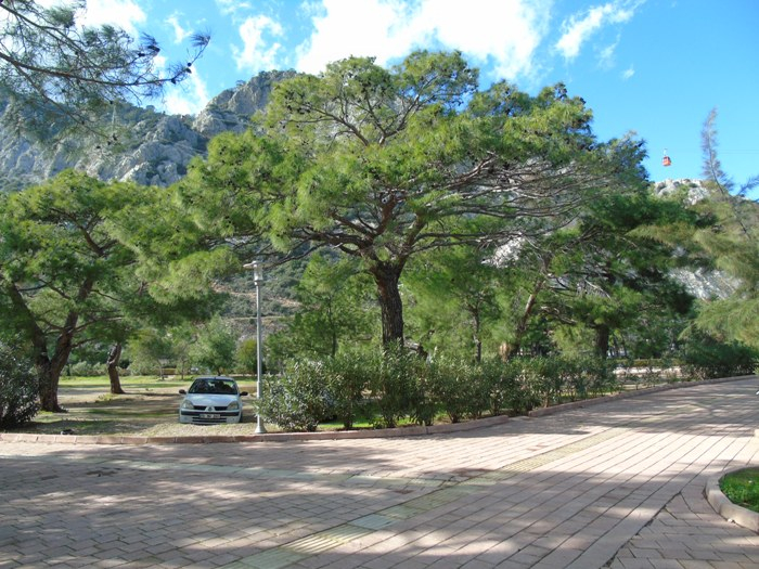 DSC05698 (700x525, 425Kb)