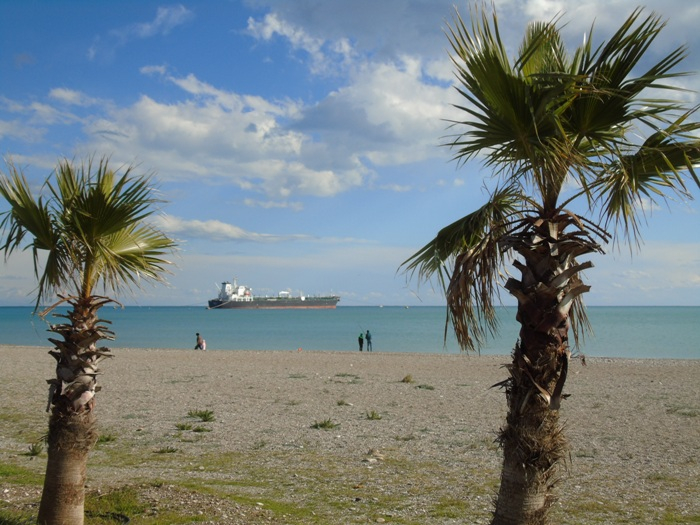 DSC05706 (700x525, 381Kb)