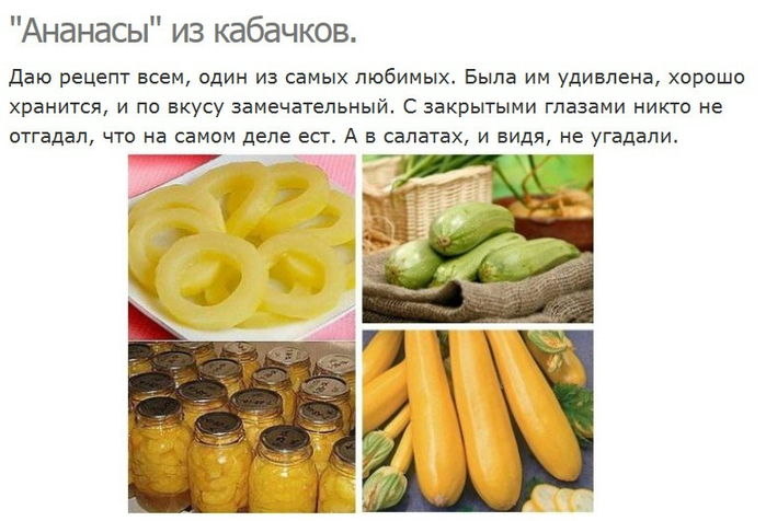 Кабачок ананасный фото и описание