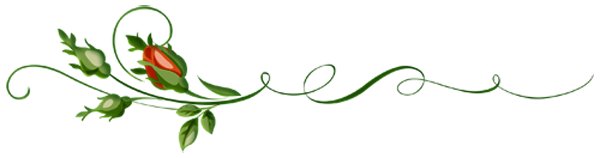   (1) (600x158, 47Kb)