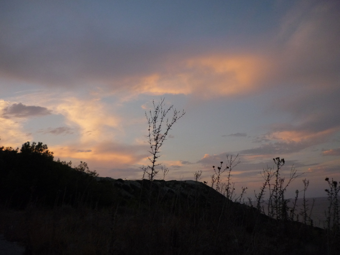 P1220412 (700x525, 262Kb)