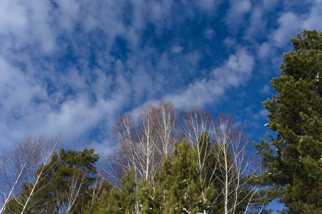 DSC09655 (640x426, 324Kb)