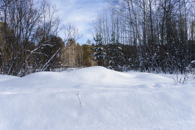 DSC09647 (640x426, 323Kb)