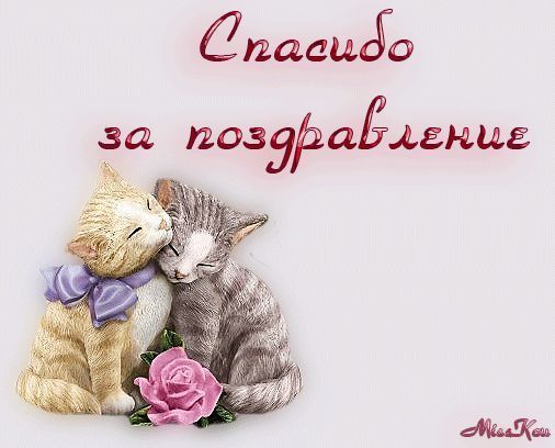 spasibo-za-pozdravlenie-1 (506x408, 31Kb)