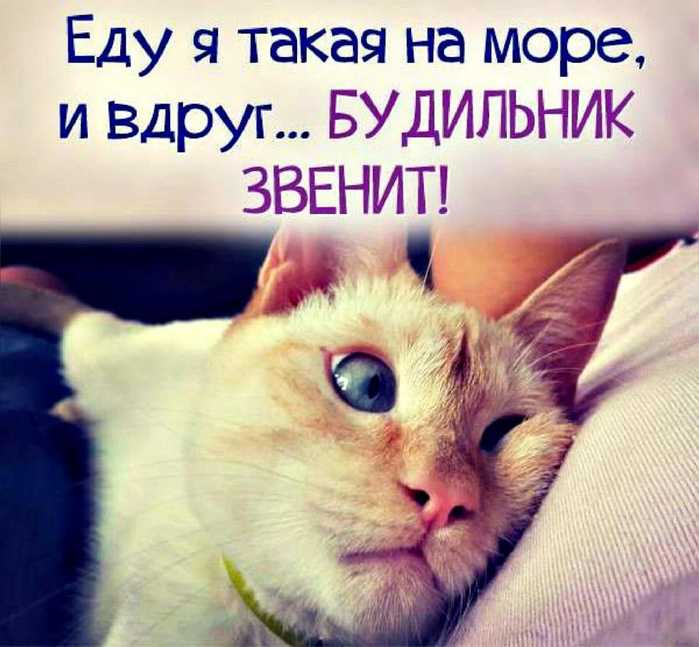IMG-20181212-WA0026 (700x647, 43Kb)