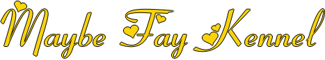 Maybe Fay Kennel super star_dog lovers_1 (467x87, 19Kb)