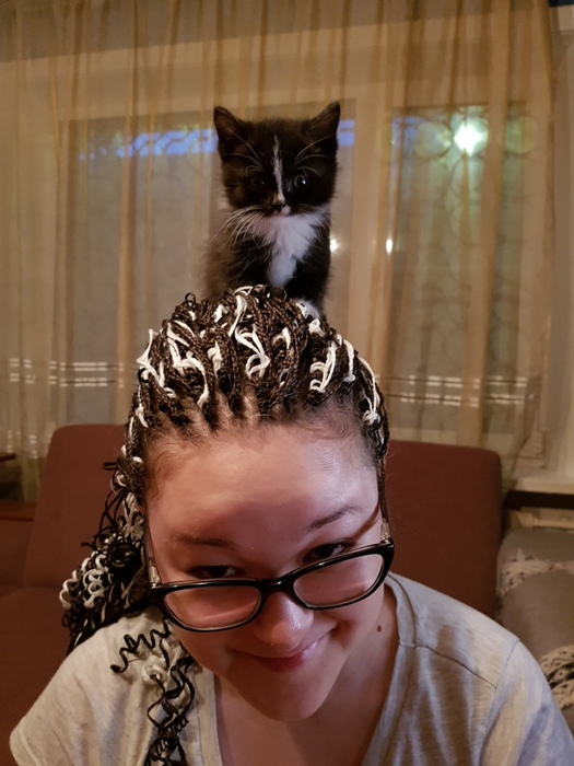 20180705_214454 (525x700, 339Kb)