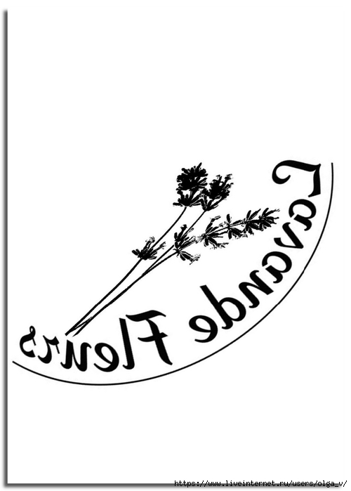 lavande fleurs (500x700, 78Kb)