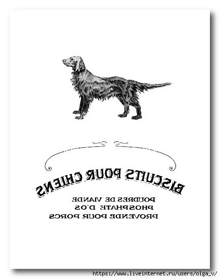 99508447_large_french_dog_bisquit_graphicsfairy_smrev (435x551, 63Kb)