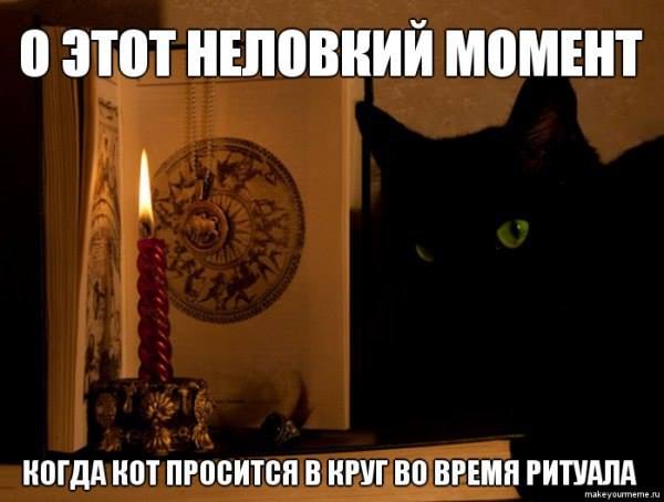 Кот просится на улицу. Кот просится наружу.