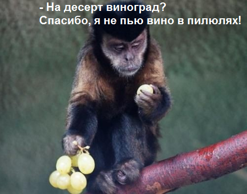 5 (499x392, 322Kb)