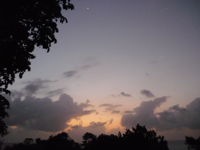 P1200141 (700x525, 263Kb)