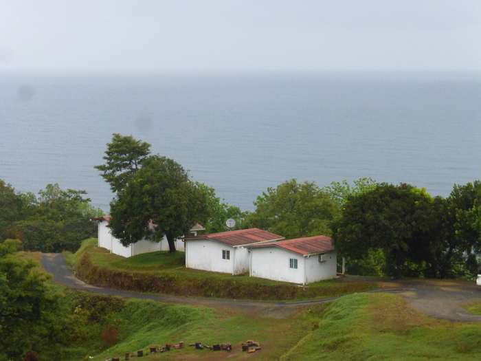 P1350226 (700x525, 353Kb)