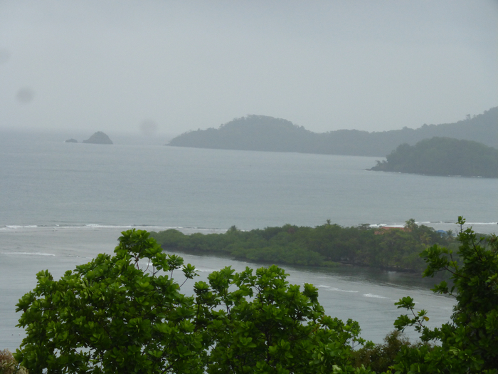 P1350235 (700x525, 363Kb)