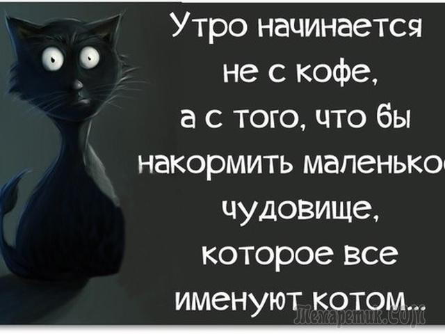 Смешные картинки с надписями про людей из жизни с смыслом