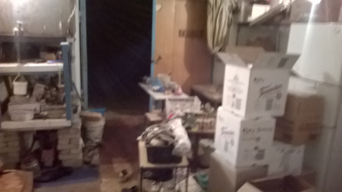 WP_20140914_003 (700x393, 209Kb)