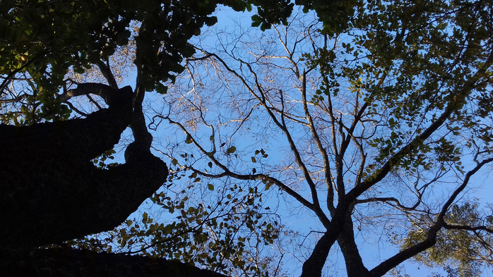 20181009_165417 (700x393, 456Kb)