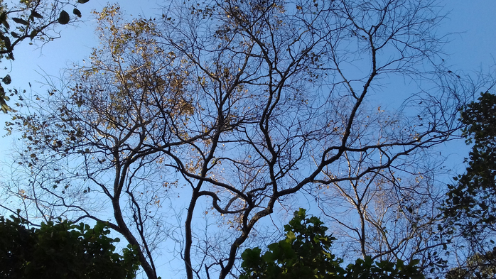20181009_165758 (700x393, 474Kb)