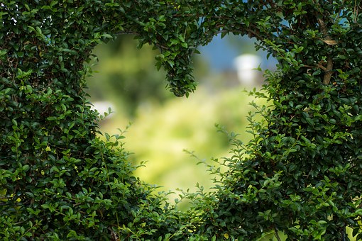 3492655_heart1192662__340 (510x340, 76Kb)