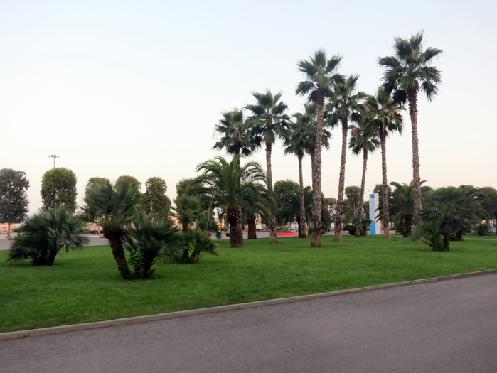 IMG_5501 (700x525, 315Kb)