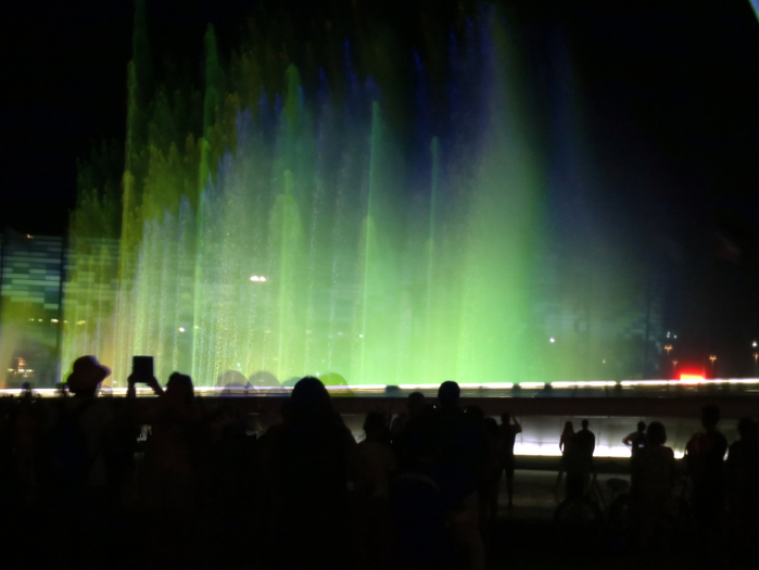 IMG_5514 (700x525, 282Kb)