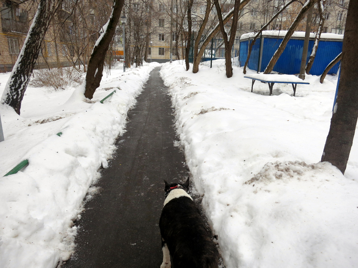 IMG_5961 (700x525, 406Kb)