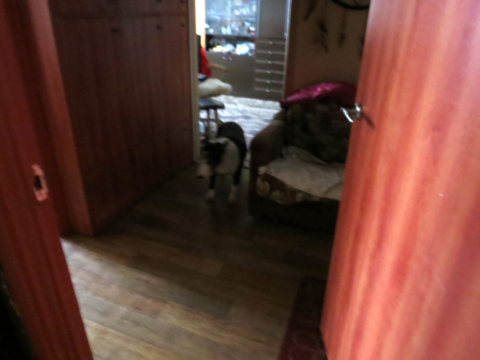 IMG_5979 (700x525, 300Kb)