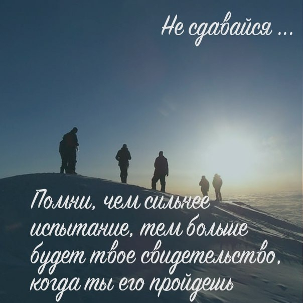 image (604x604, 183Kb)