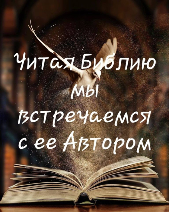 image8 (560x700, 433Kb)