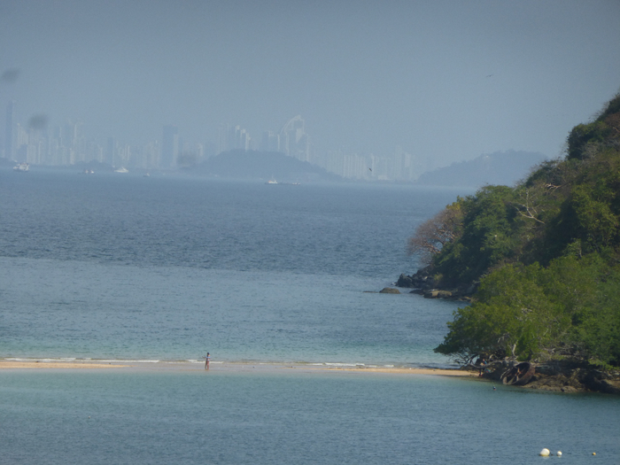 P1350349 (700x525, 313Kb)
