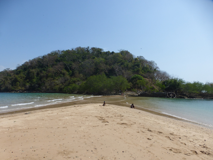 P1350375 (700x525, 355Kb)