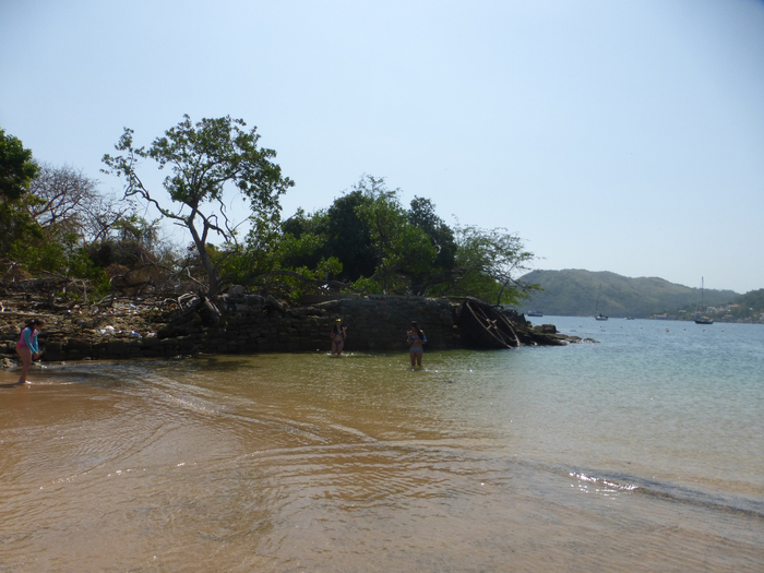 P1350383 (700x525, 379Kb)