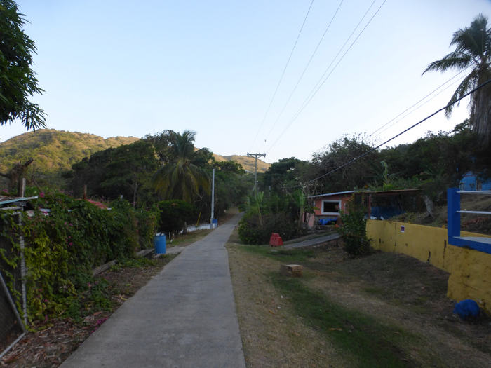 P1350442 (700x525, 382Kb)