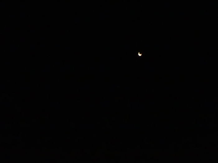 DSC08147 (700x525, 89Kb)