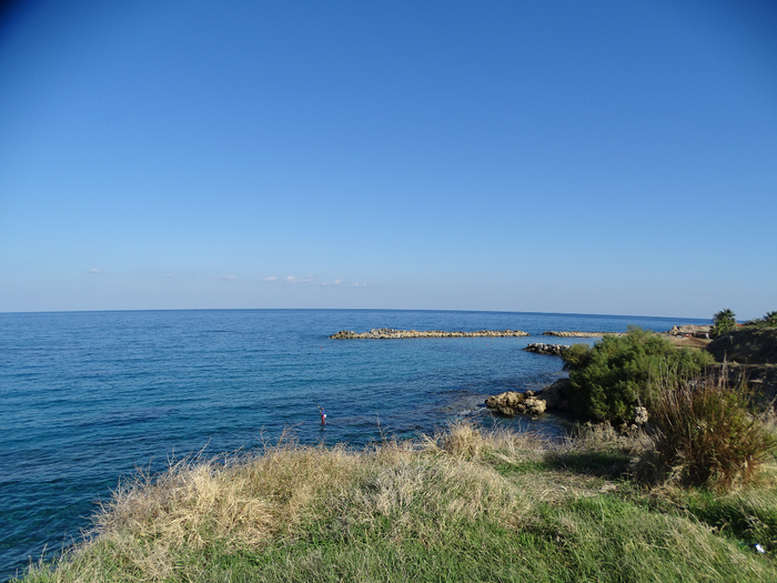 DSC08158 (700x525, 435Kb)