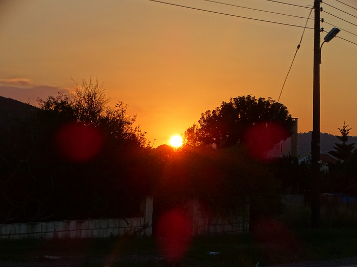 DSC08179 (700x525, 315Kb)