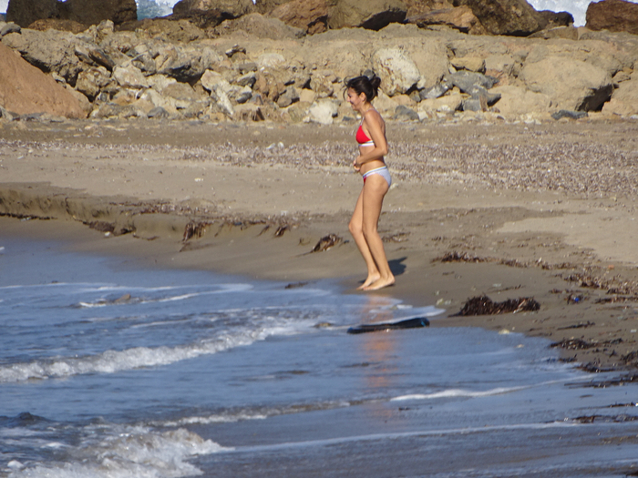 DSC08266 (700x525, 477Kb)